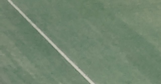 ꂪLł