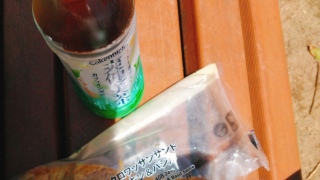 pXP[X̒̃^CZc