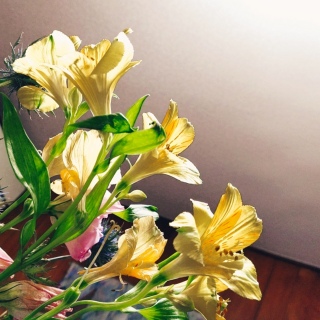 gKɂȂ邽߂ɐĂ񂾂h