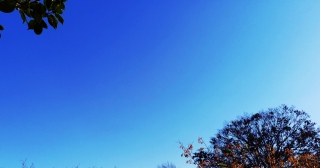 �������Y�ށ�1�肢������