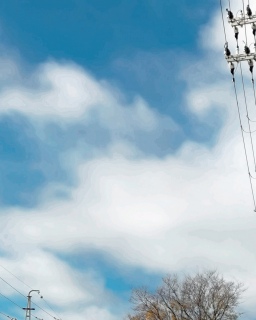 �����������Ƃ��d�I