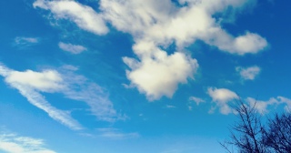 2026�N���U�̋C����