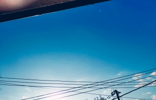 back number�ɋ�����