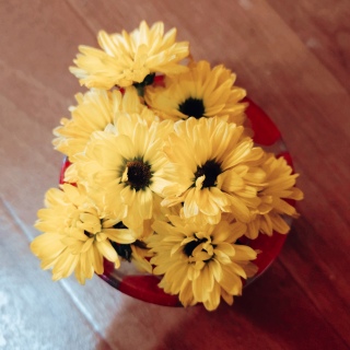 �{���ɂ����Ȃ��Ă������ł����H