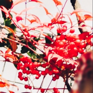 ������������A�ǂ����񂾂�