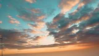 �D���ȃ^�C�v