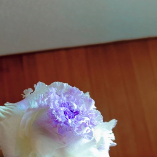 ����͎��������߂邱��