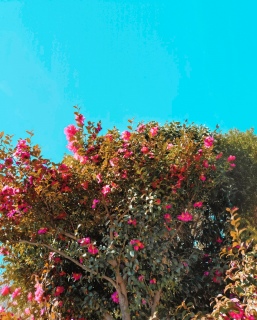 ����ǂ����X