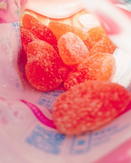 �������閈���𐶂��Ă�������