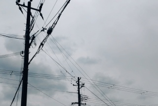 �p���[�����b�L�[�X�|�b�g