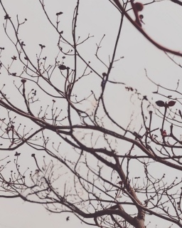 �ԐړI�ɂł����M����������