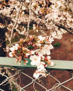 �����������l