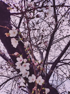 �����ɂ͓��ʂȃ��j���[