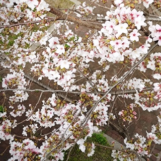 �����n�����������H