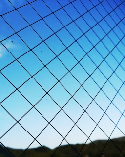 ���ӎ��Ɏ��������Ɍ��Ă��܂��Ă�