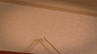 ������N�ɂ��閧