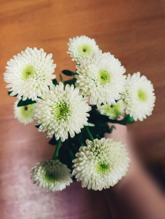 �e�ʂ̈ꌾ�������y���m�荇��