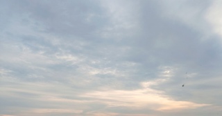 ���̓p���s����D���炵����y