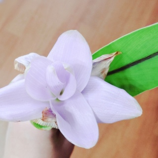 �G�ꂽ���o����؂Ȃ��Ƃ͌���Ȃ�