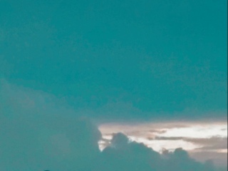 �̗��s�����炵���̂ɋ�������
